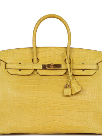 Hermes birklin bags
