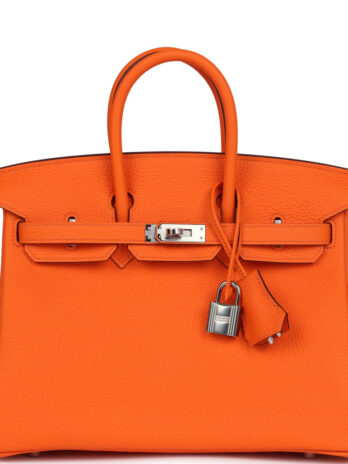 Hermes birklin bags