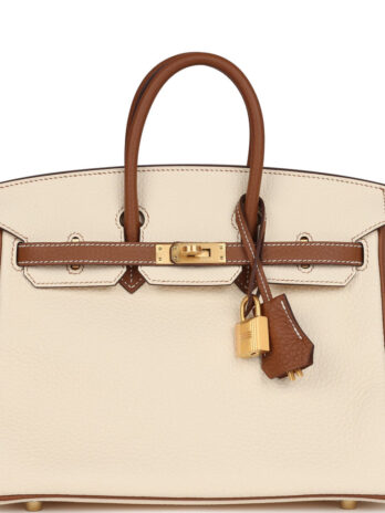 Hermes birklin bags