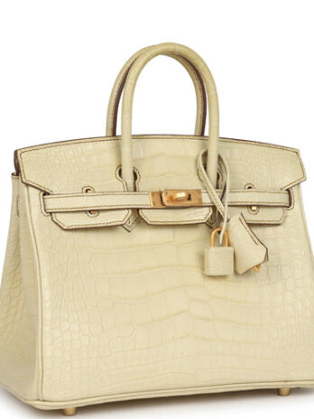 Hermes birklin bags